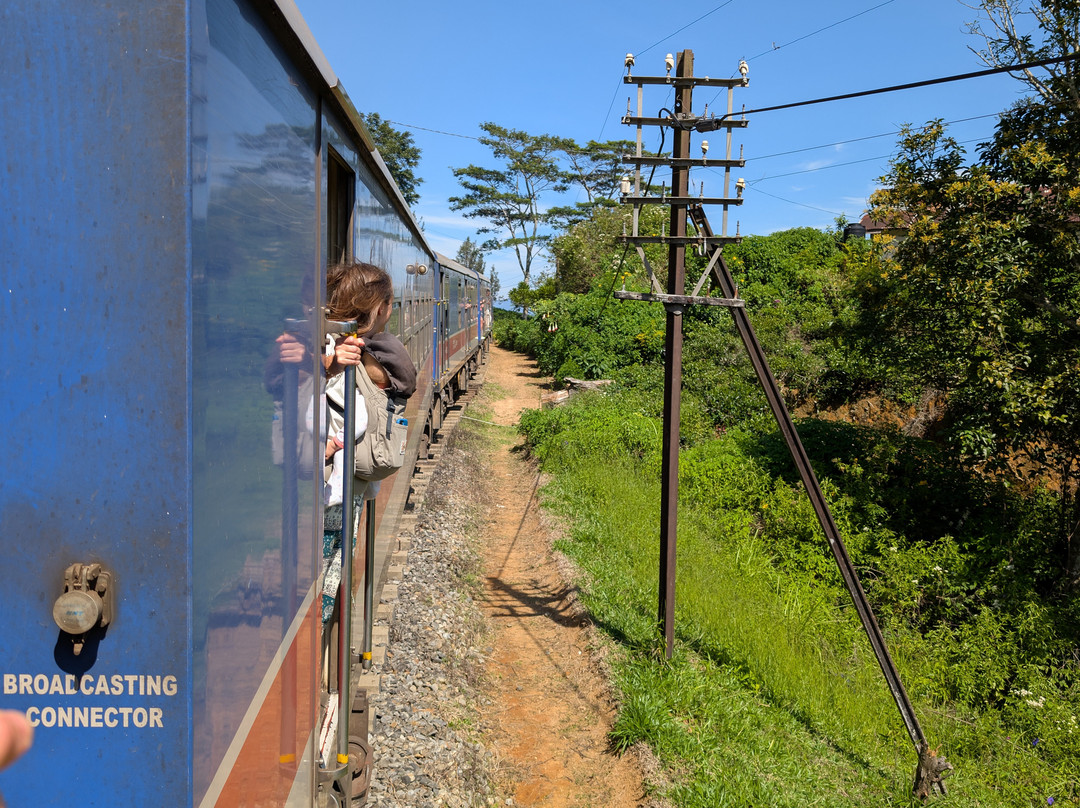 Lanka Tour Driver-Hingurakgoda必去景点