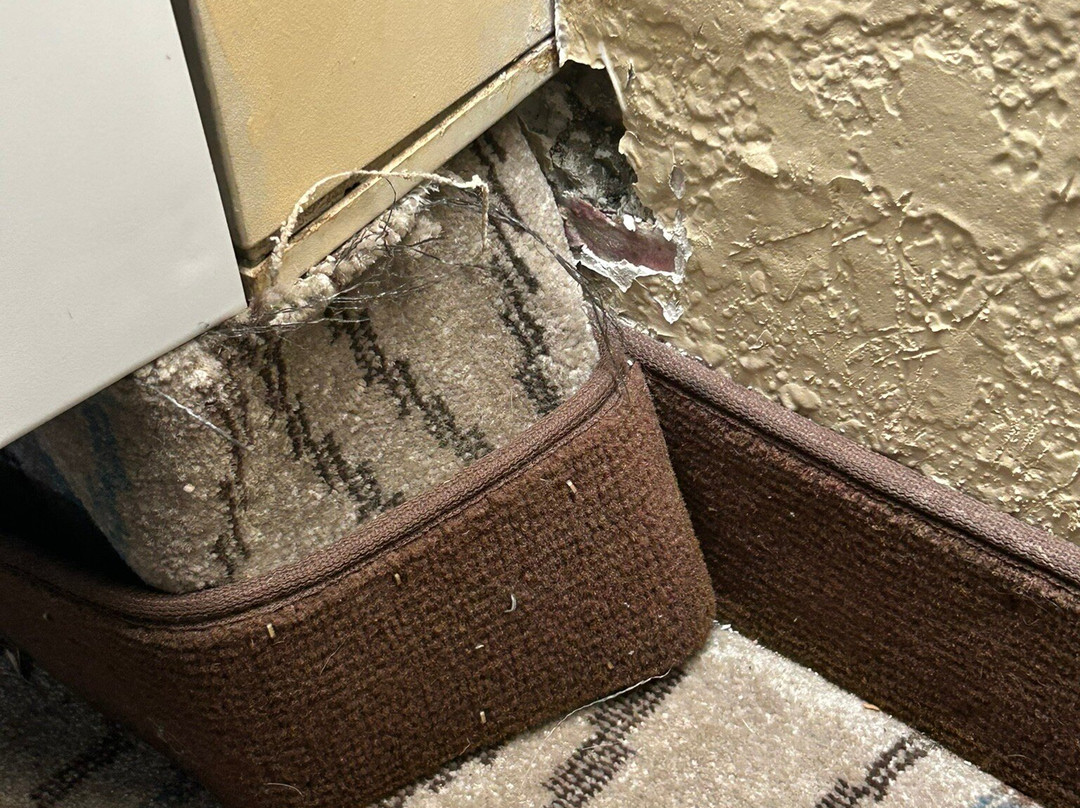 Best Western Locust Grove Inn & Suites主图