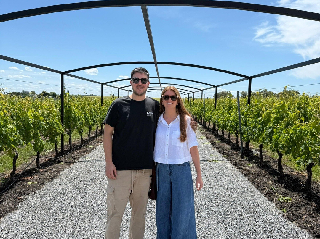 Fripp Viñedos Y Bodega-Conchillas必去景点