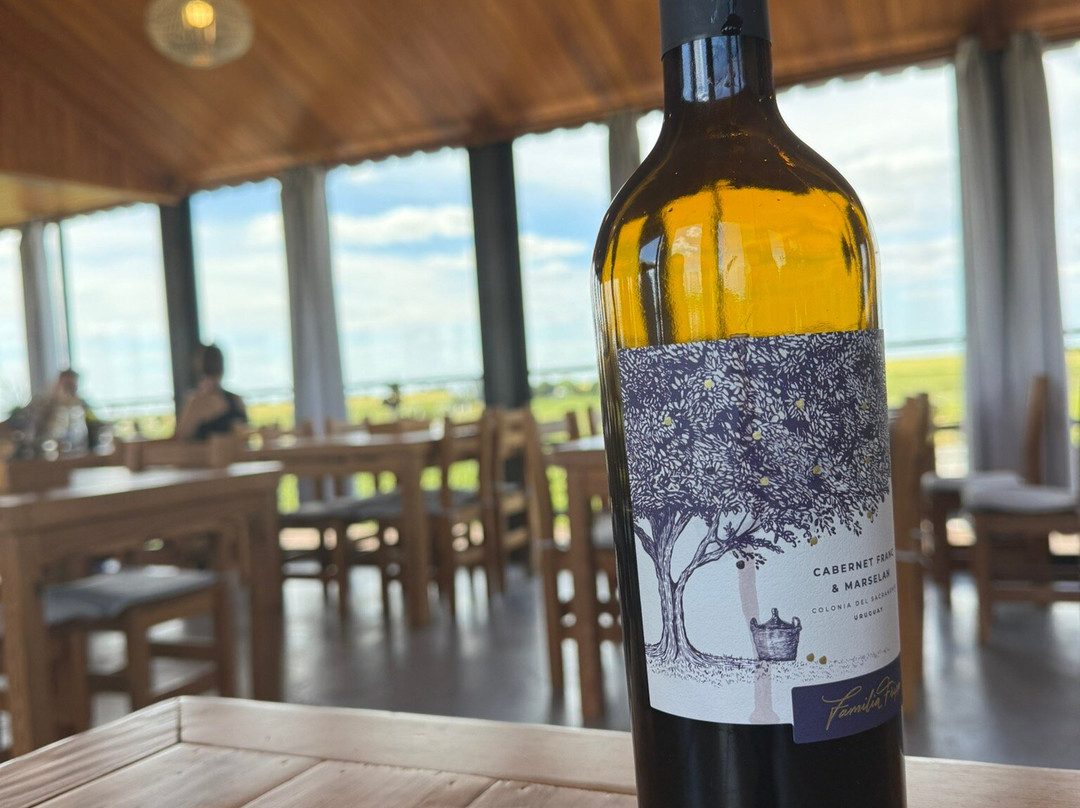 Fripp Viñedos Y Bodega-Conchillas必去景点