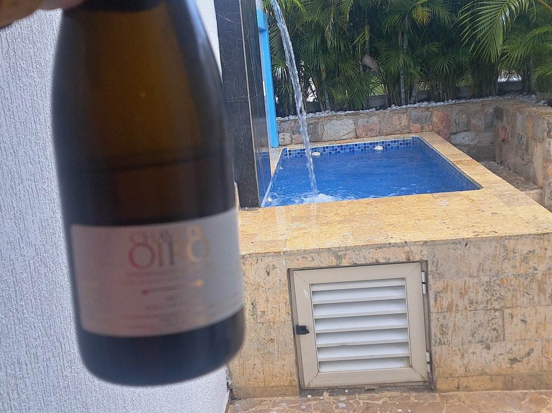 Hotel Latitud 10主图