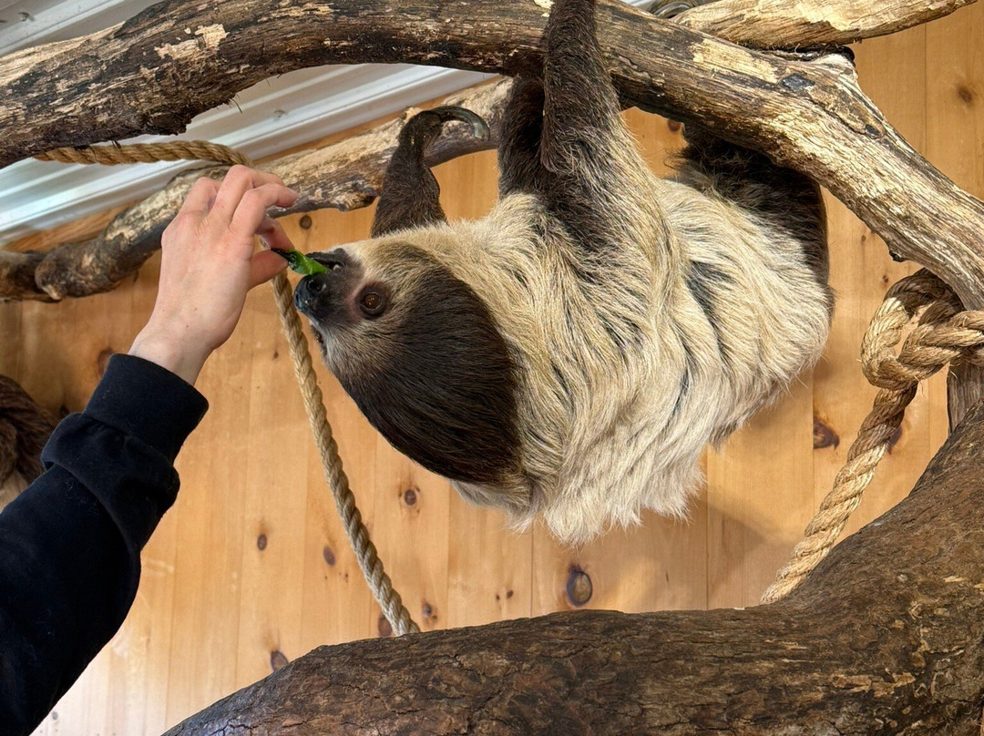 Timbavati Wildlife Park-威斯康星峡谷必去景点