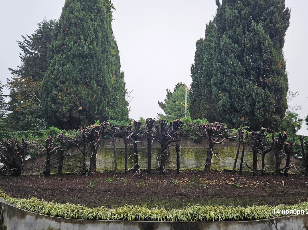 Southern Cultures Park-艾德勒必去景点