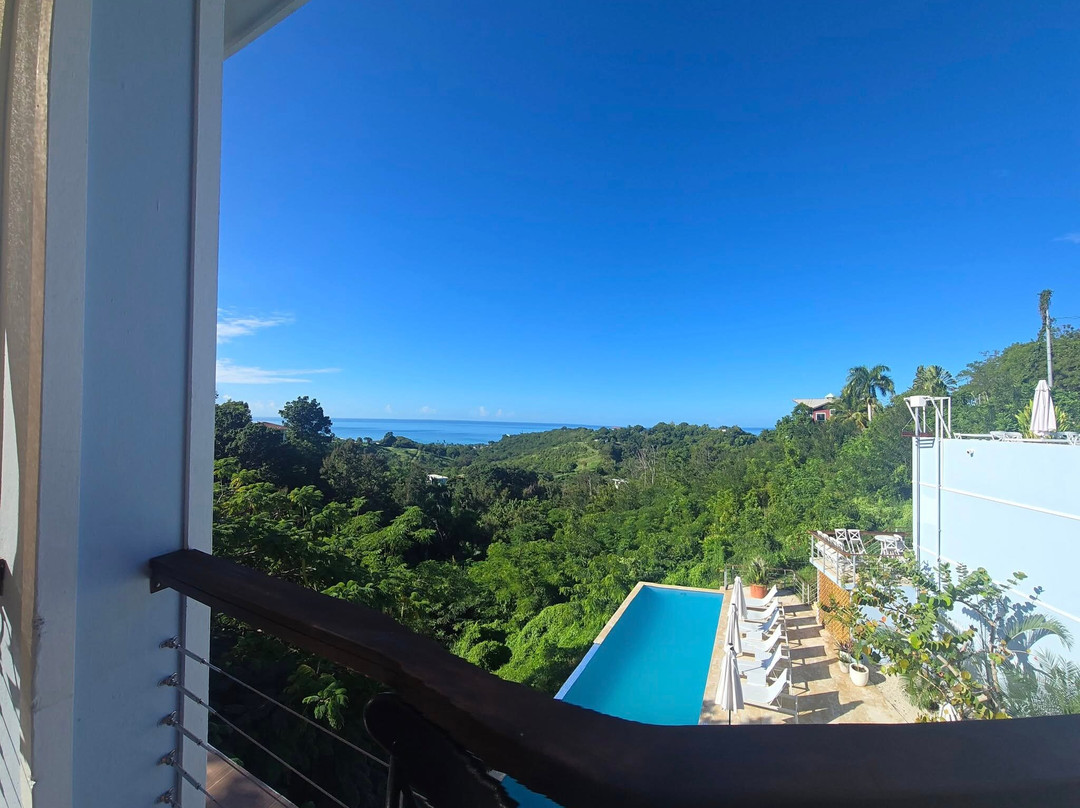 The English Rose Guest House主图