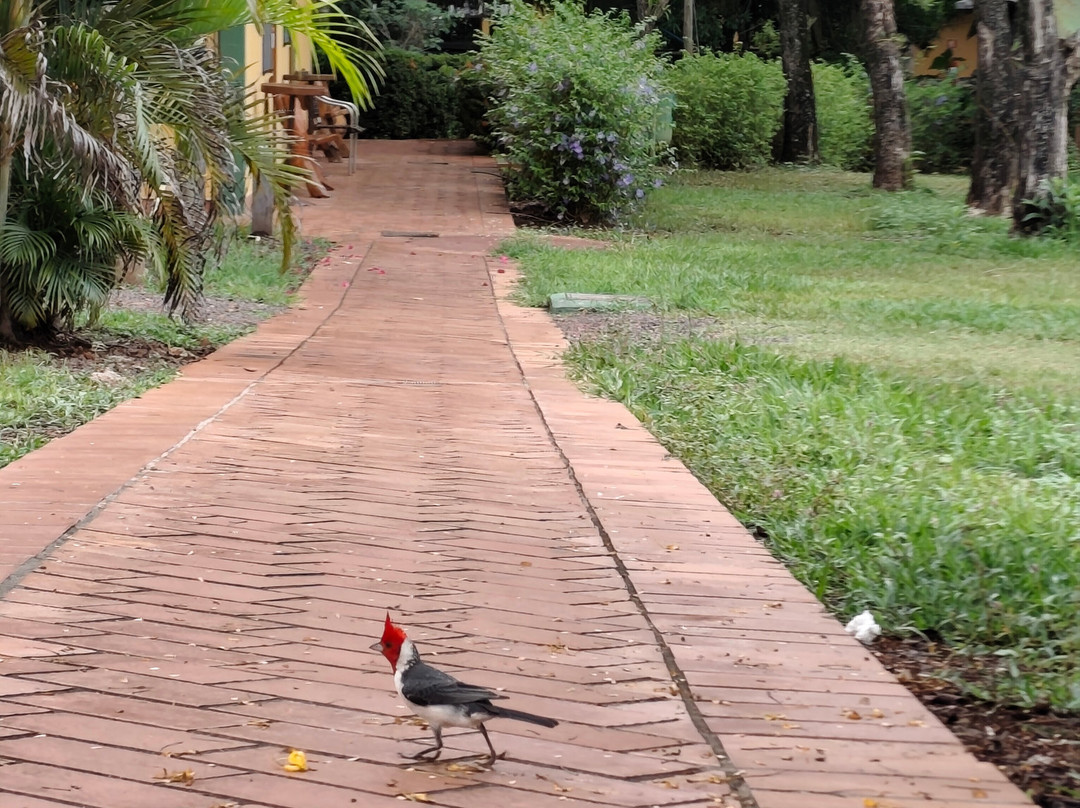 Fazenda San Francisco-米兰达必去景点