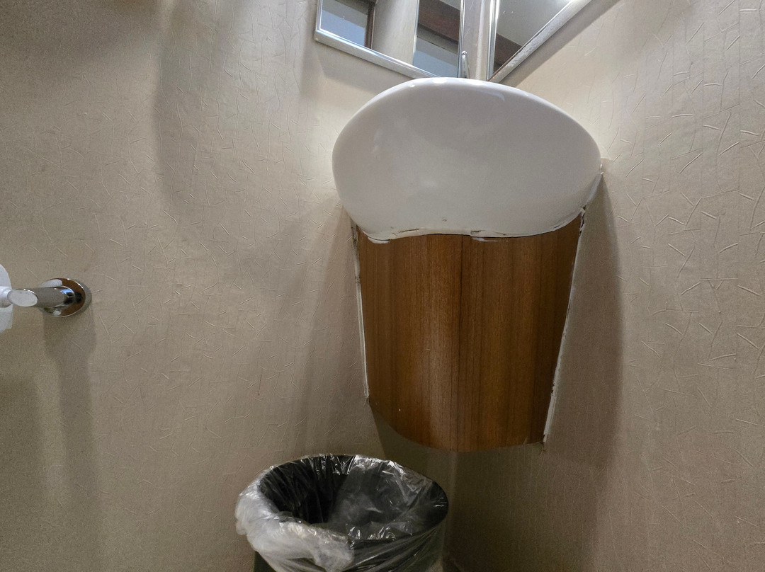 查尔斯湖万豪春季山丘套房酒店主图