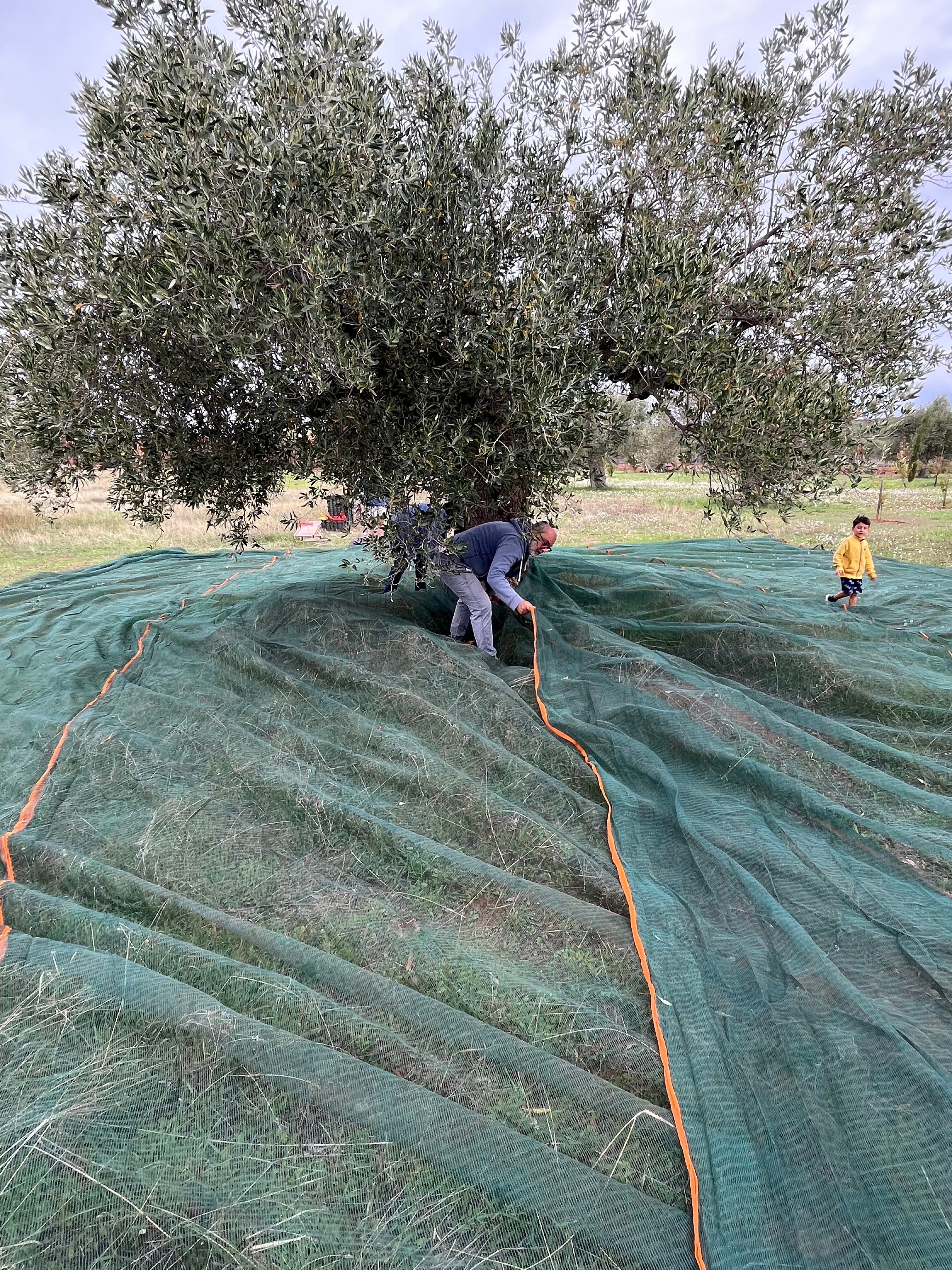 Eumelia Organic Agrotourism Farm-官方