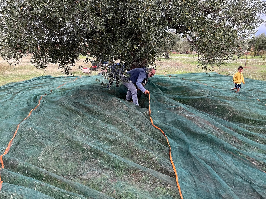 Eumelia Organic Agrotourism Farm主图