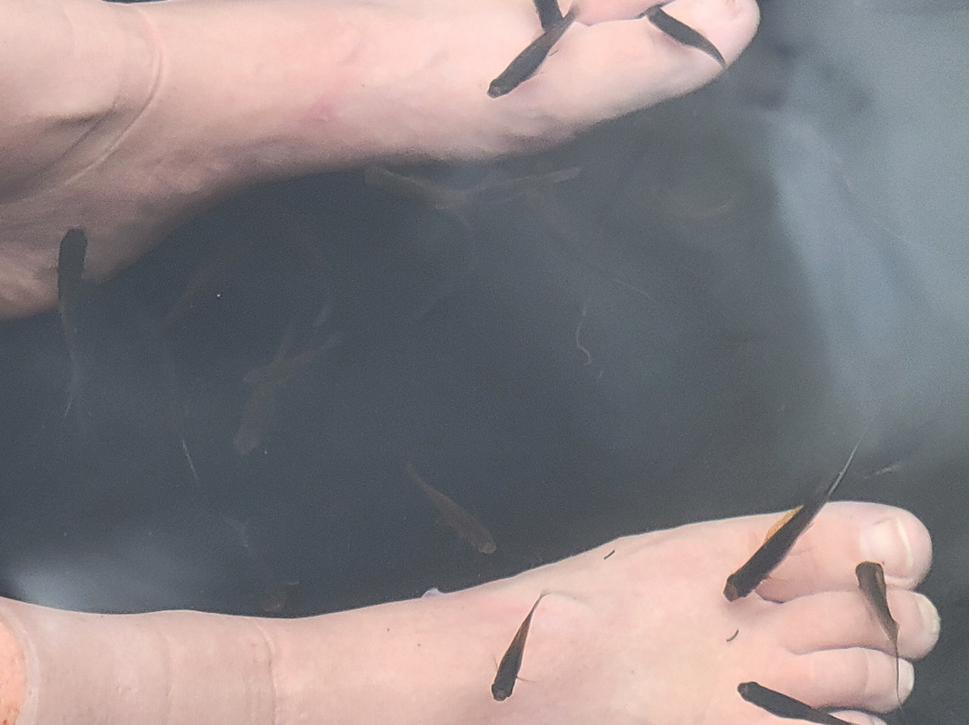 Yanature-黑河必去景点