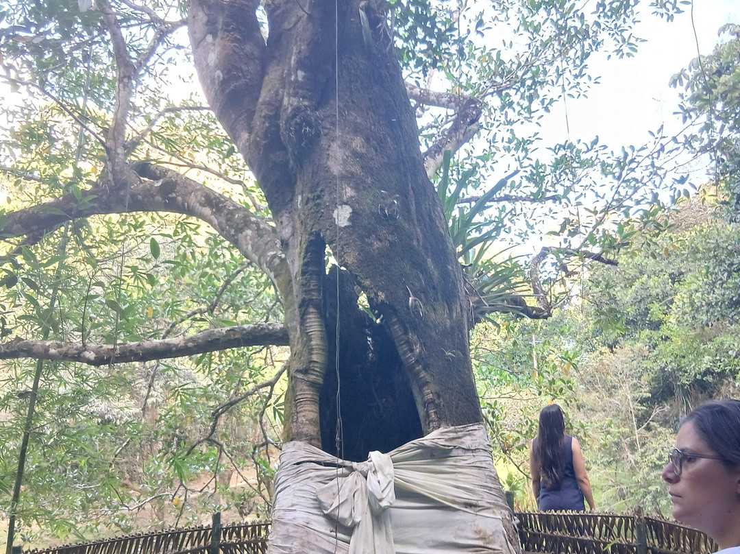 Aventura Eco Brasil-Barra de Sao Miguel必去景点