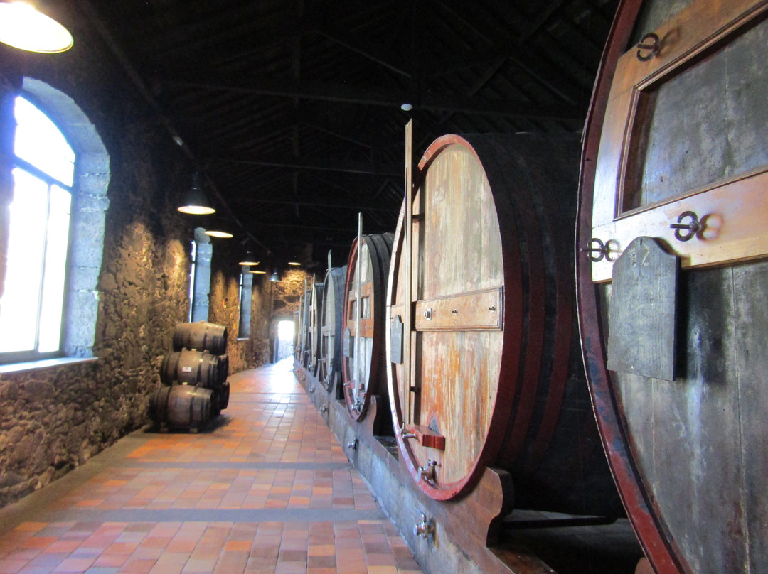 Burmester-加亚新城必去景点