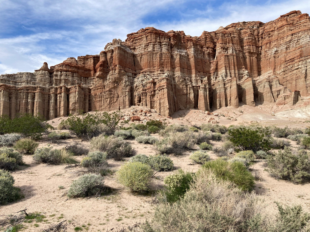 Red Rock Canyon State Park-Cantil必去景点