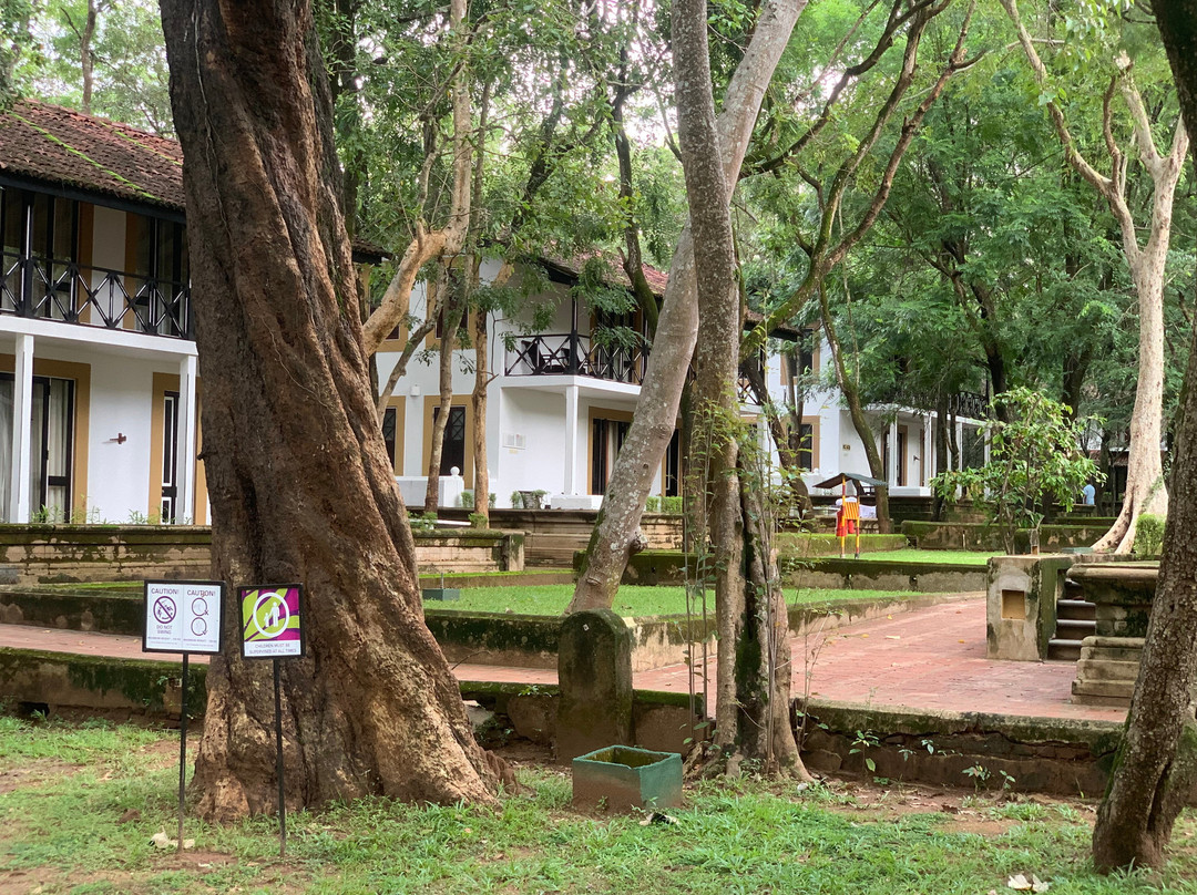 肉桂哈巴拉纳酒店主图