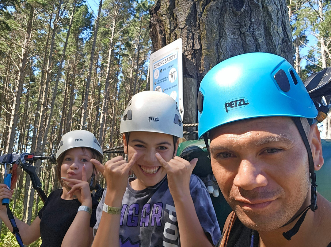 Tree Adventures-伍德山必去景点