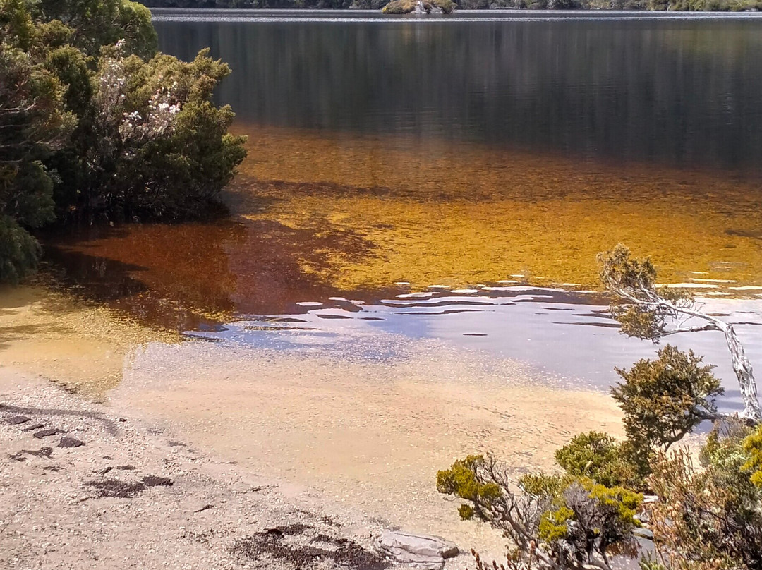 Crater Lake Circuit-摇篮山圣克莱尔湖国家公园必去景点