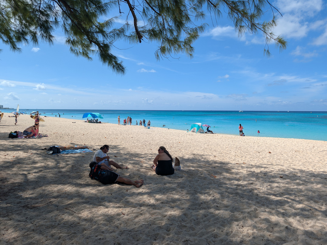 ECO Rides Cayman-East End必去景点