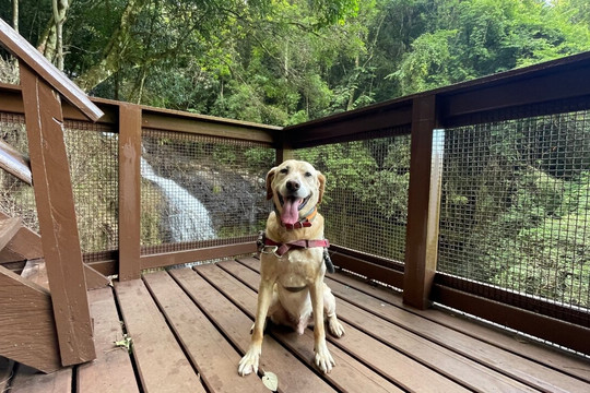 Flor do Vale - Alambique e Parque Ecologico-卡内拉必去景点