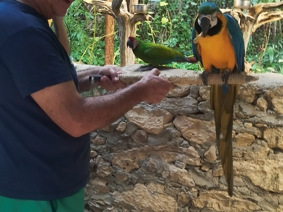 Croco Cun Zoo-从莫雷洛斯港必去景点