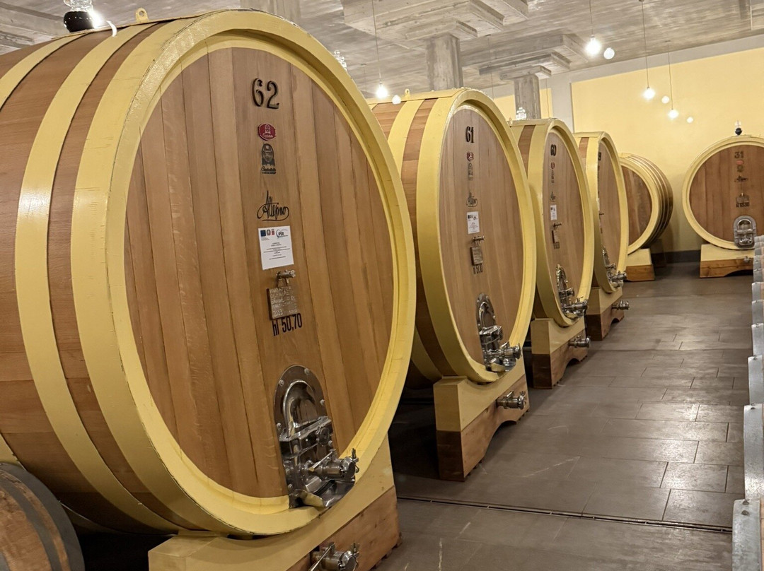 Altesino-蒙塔尔奇诺必去景点