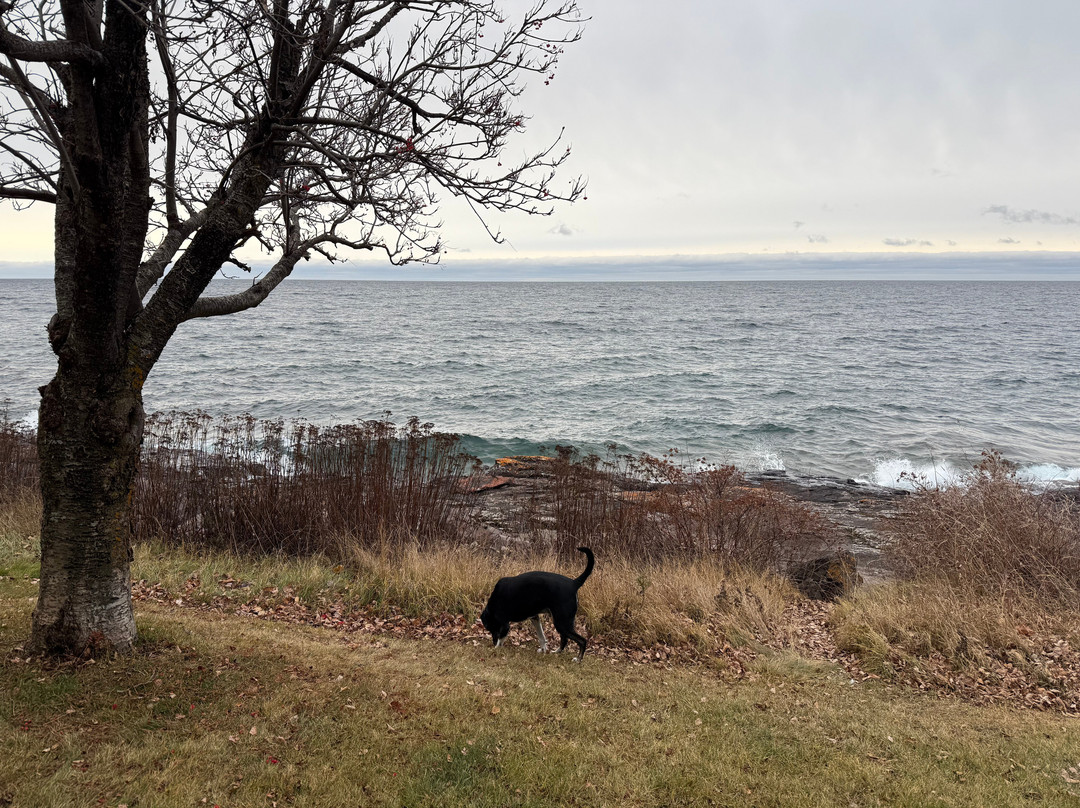 Bluefin Bay Family Of Resorts主图