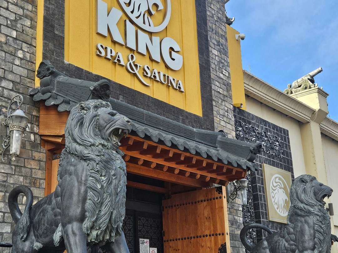 King Spa & Waterpark-达拉斯必去景点