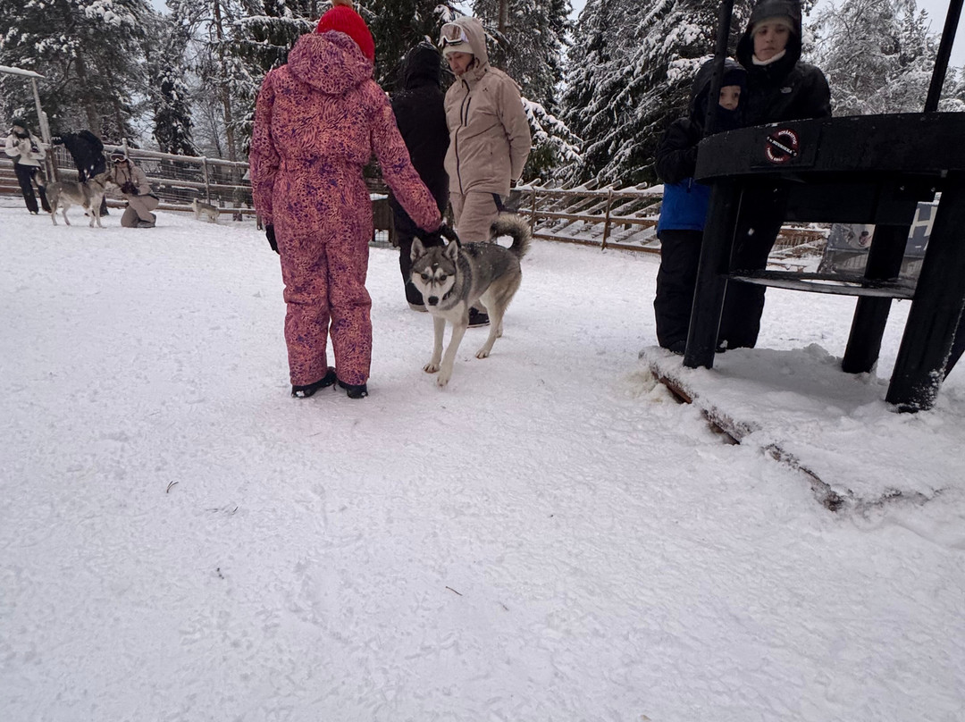 Arctic Circle Husky Park-罗瓦涅米必去景点