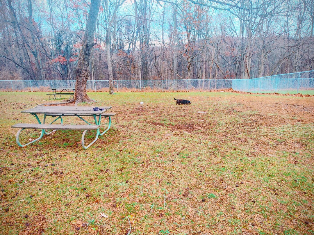 White Oak Regional Park-White Oak必去景点