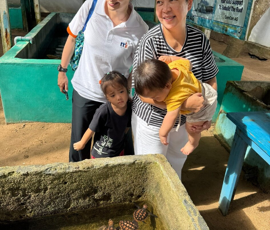 Sea Turtle Farm Galle Mahamodara-加勒必去景点