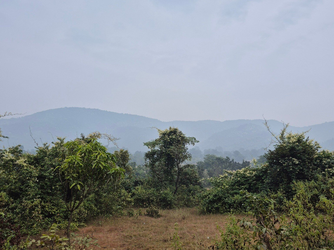 Dalma Wildlife Sanctuary-哲雪铺必去景点
