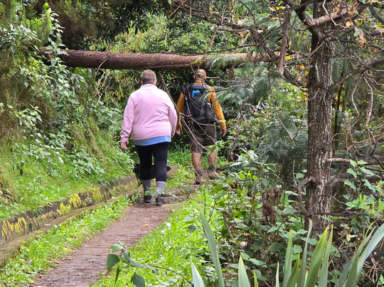 Hiking Island-马德拉群岛必去景点