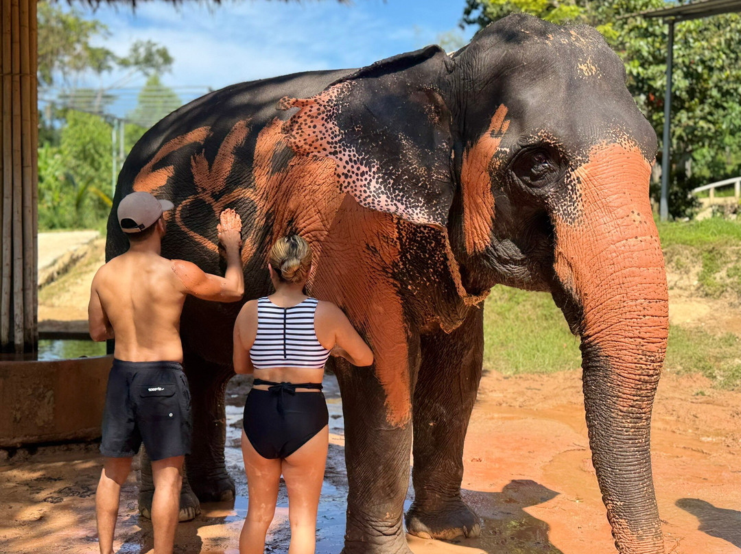 Phuket Elephant Care-奈通必去景点