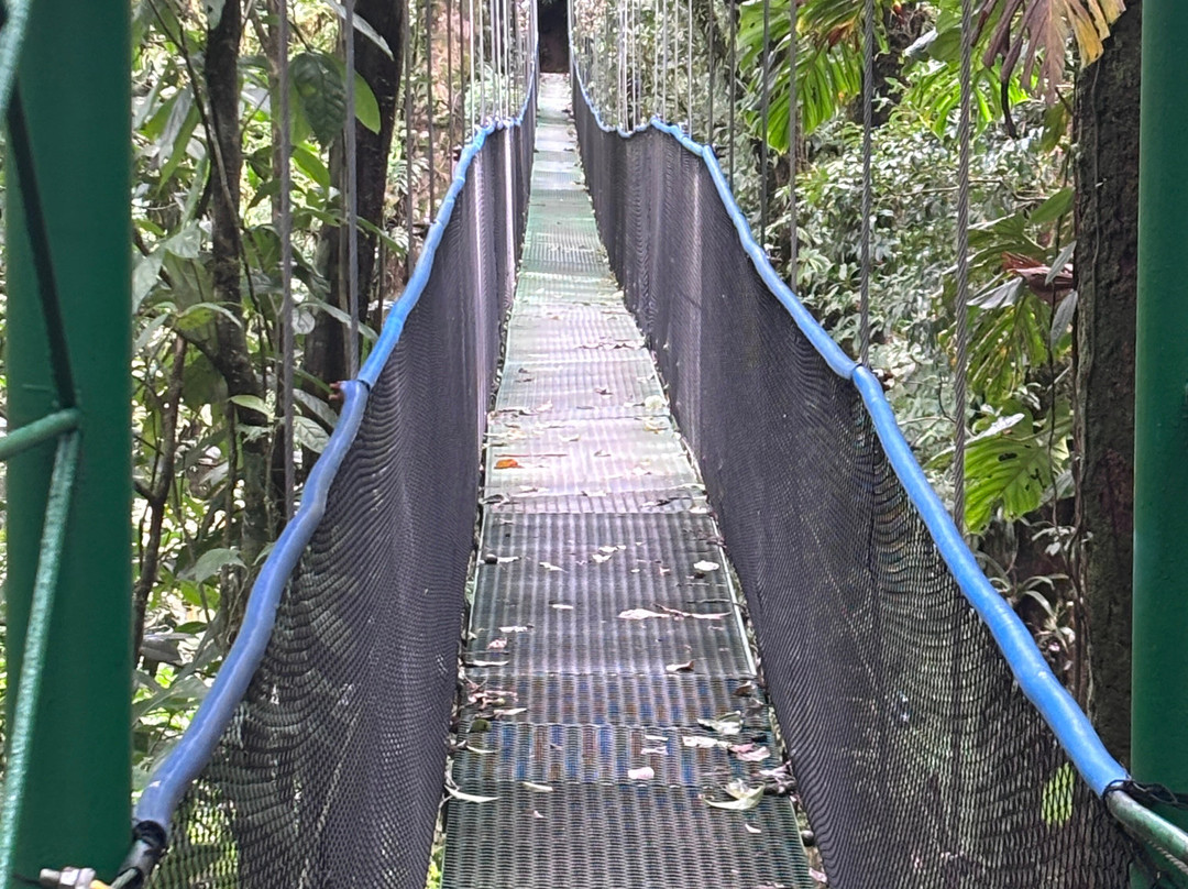 Fayla Tours Costa Rica-萨迪纳尔必去景点