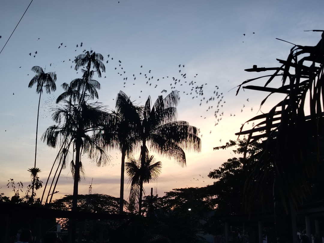 Hotel Malokamazonas主图