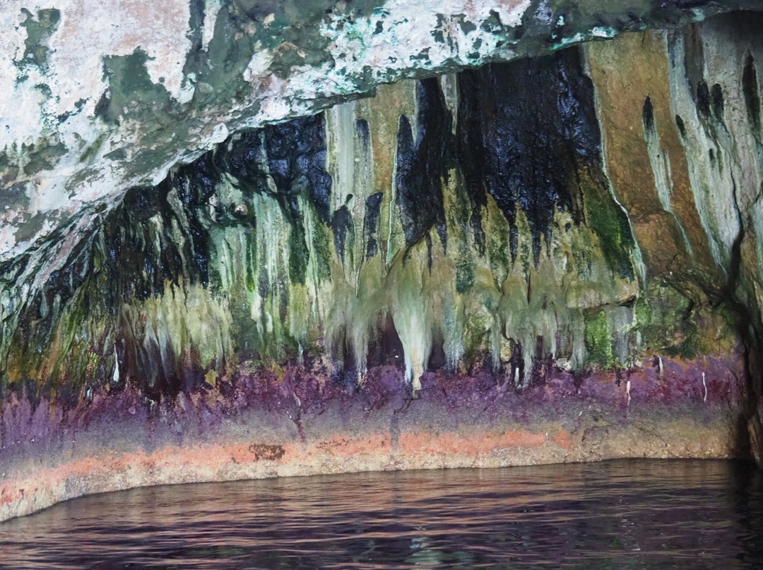 Perfect Day Ocean Cruise-Tutukaka必去景点