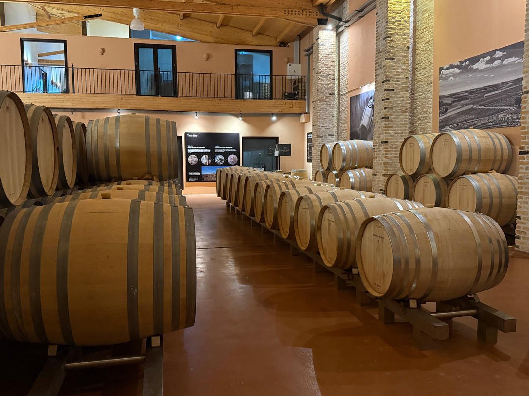 Bodegas Emilio Moro-Pesquera de Duero必去景点