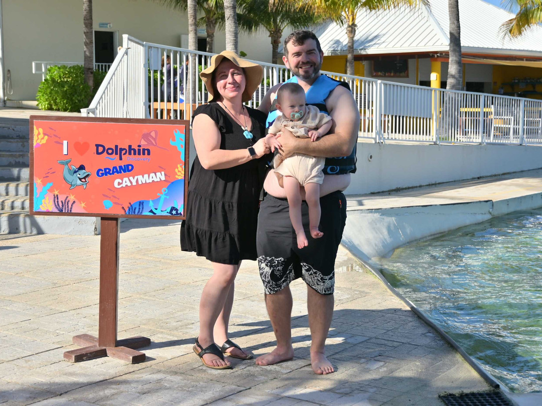 Dolphin Discovery Grand Cayman-西湾必去景点