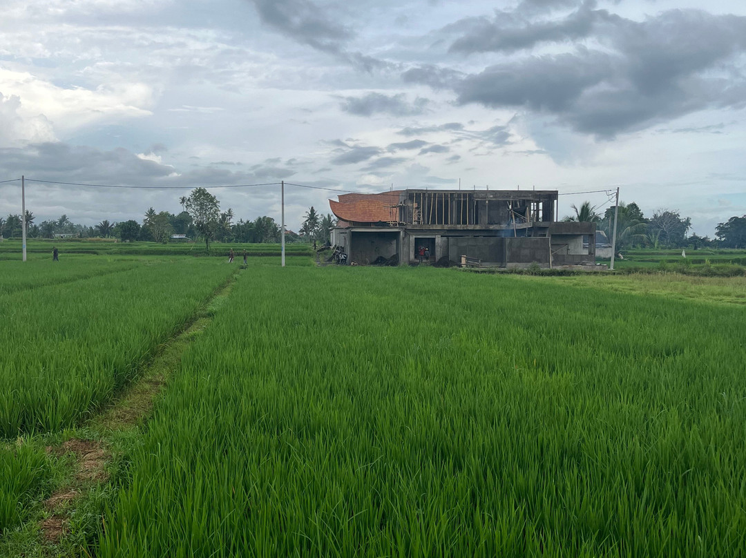 One Fit Wellness - Bali-Mambal必去景点