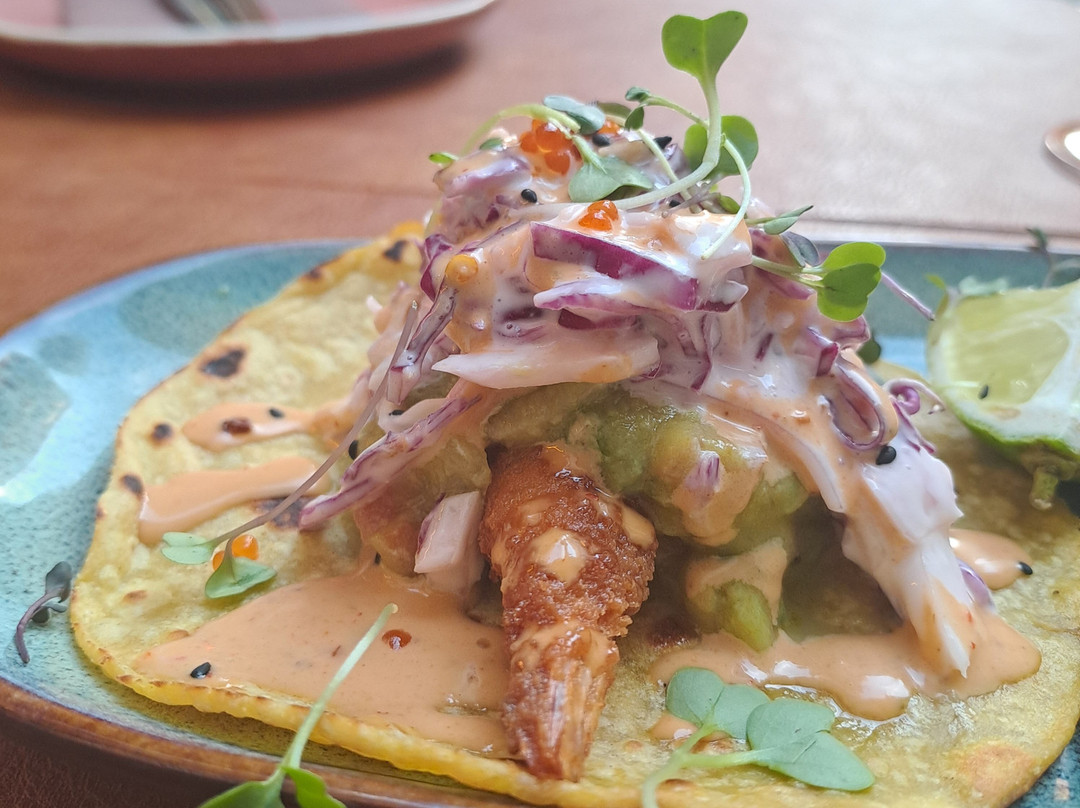 Origenes Latino Mediterraneo Fusión