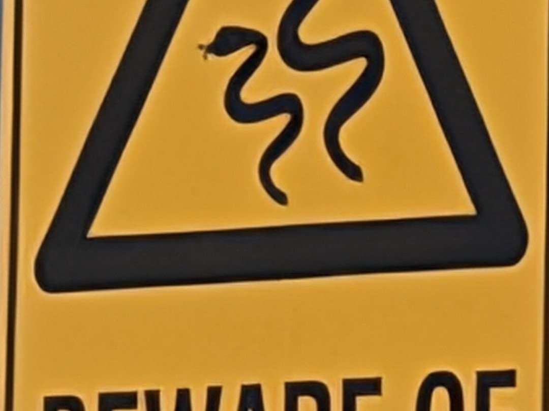 Sand Dune Adventures - Tours-威廉斯顿必去景点