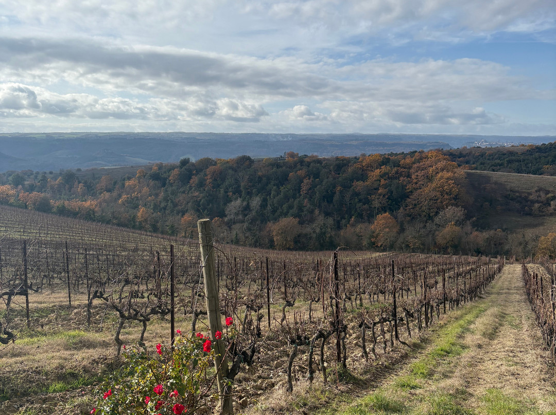 Decugnano dei Barbi-奥尔维耶托必去景点