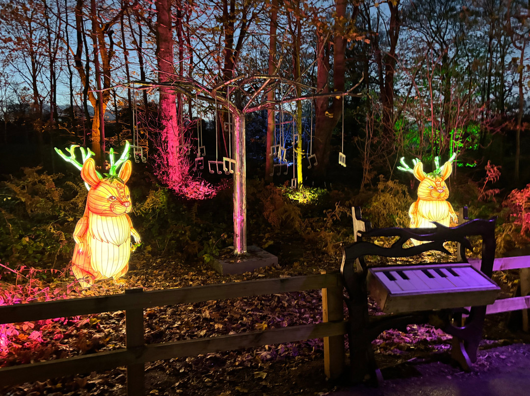 Stockeld Park-Spofforth必去景点