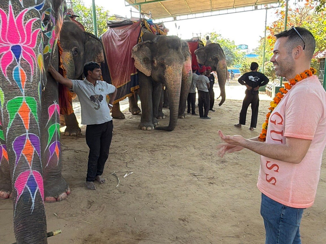 EleJungle-Amer必去景点