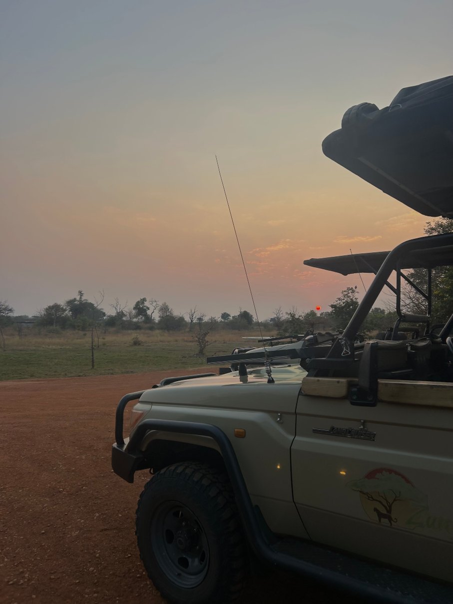 Ila Safari旅馆-官方