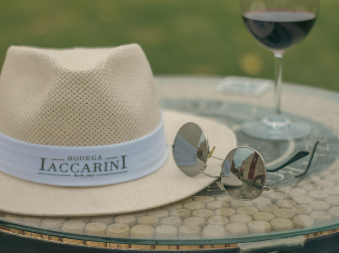 Bodega Iaccarini-圣拉斐尔必去景点