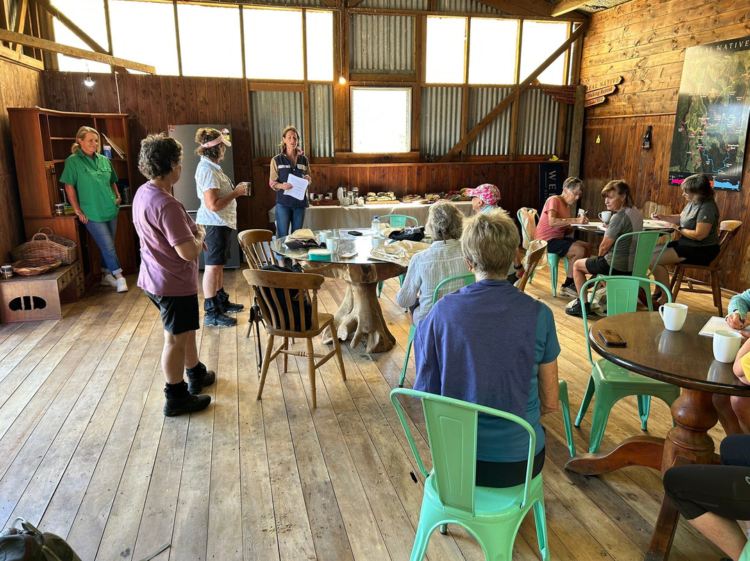 Real  Native  -  Walking Retreat-Te Awamutu必去景点