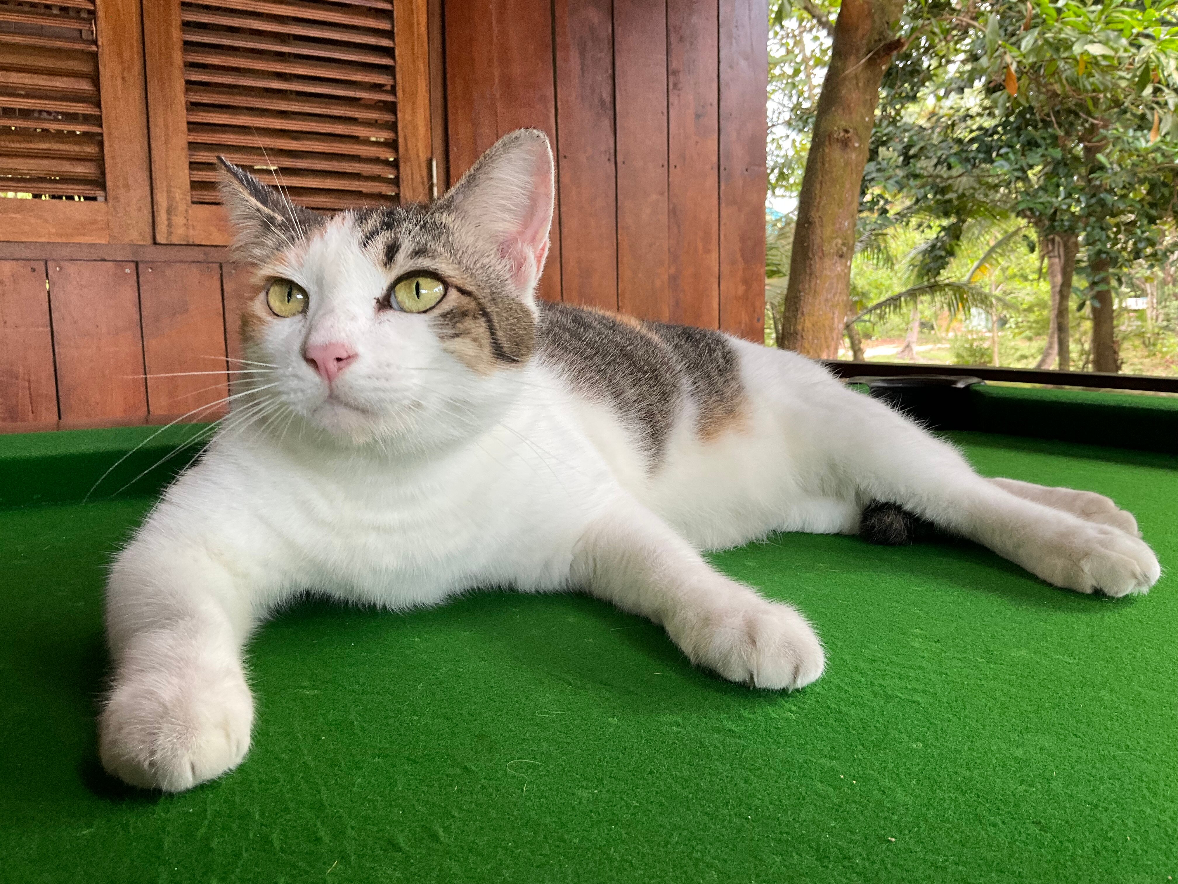 金佛海滩度假村-浴室