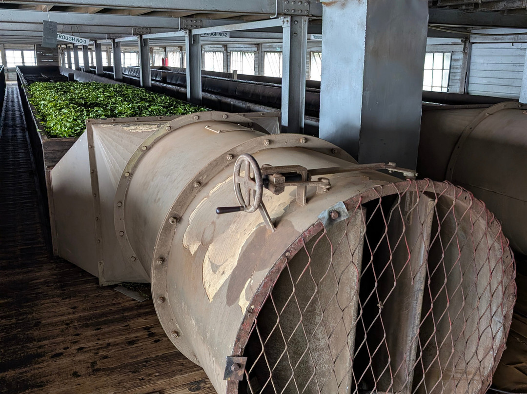 Dambatenne Tea Factory-哈普特莱必去景点