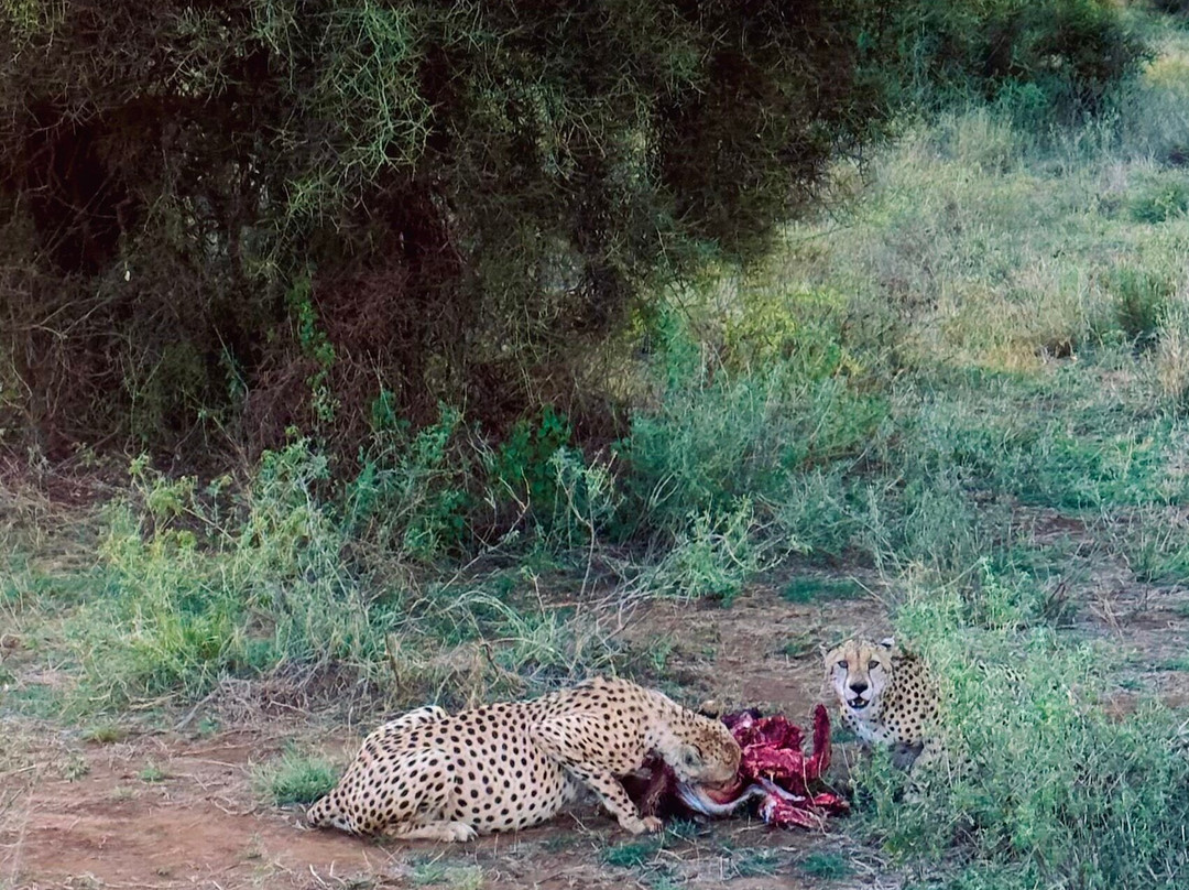 Totti Kenya-安博塞利国家公园必去景点