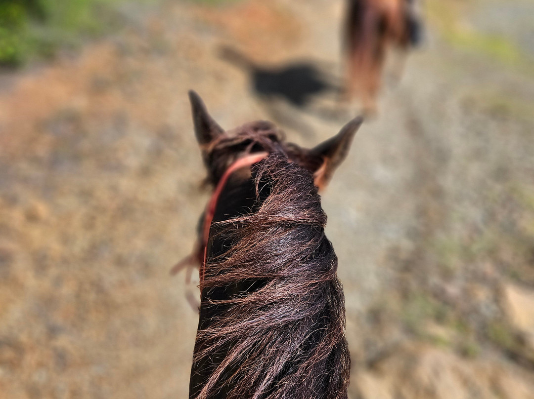 Rancho Loco-Santa Cruz必去景点