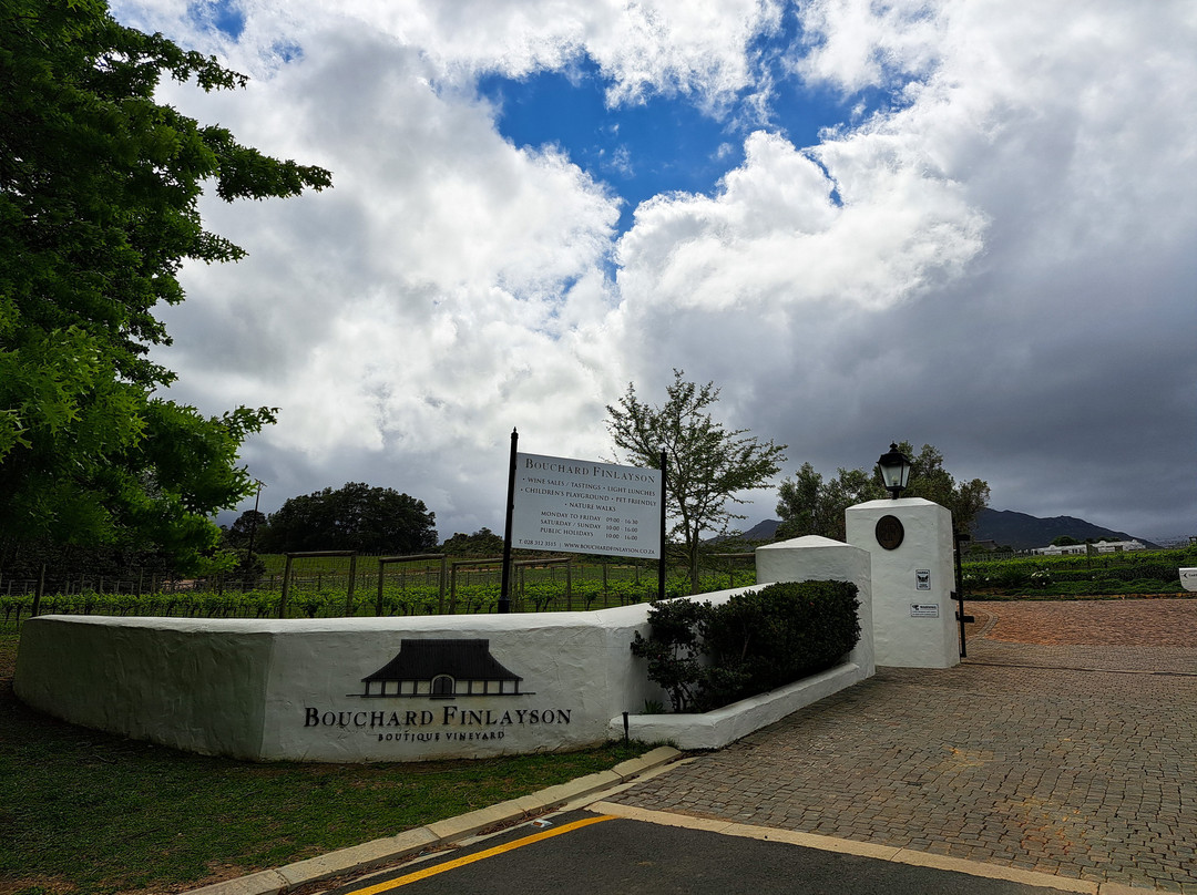 Bouchard Finlayson Winery-赫曼努斯必去景点